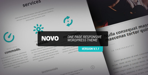 Novo – One Page Responsive WordPress Theme