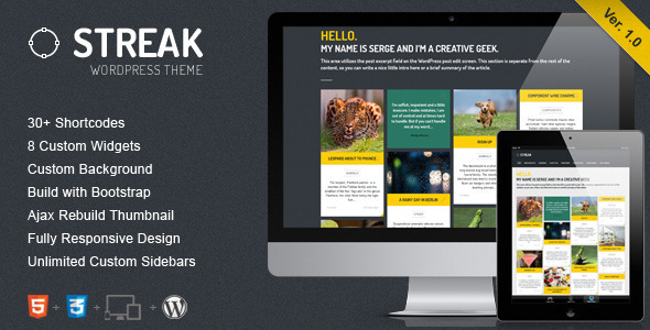 Streak – Responsive WordPress Blog / Portfolio