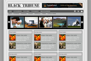 Black Tribune