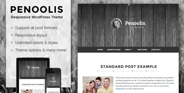 Penoolis – Responsive WordPress Blog Theme